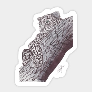 LEOPARD Sticker